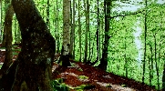 Saja-Besaya 2